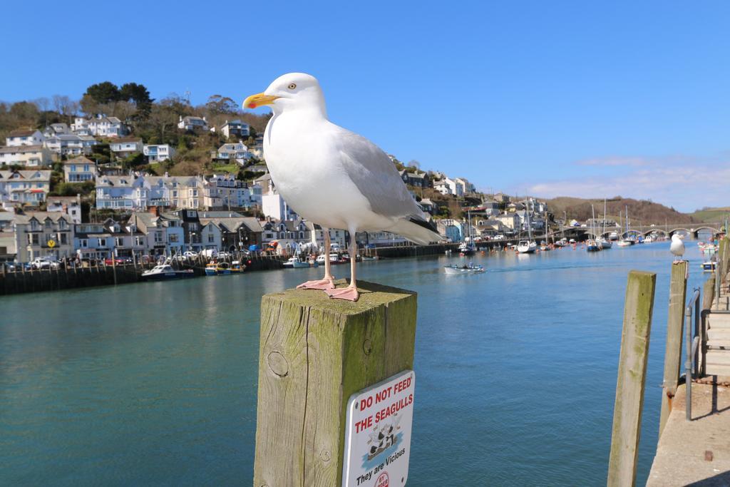 Portbyhan Hotel Looe Exterior photo